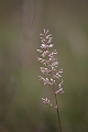 Resize of IMG_1467